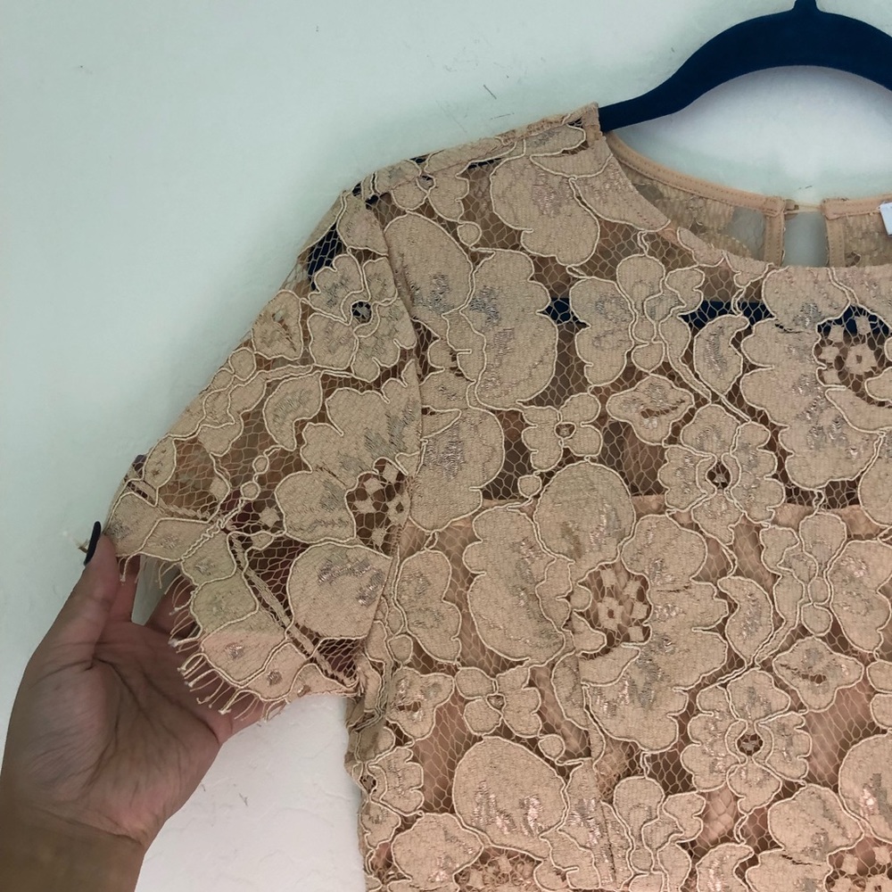 NSR Lace Short Sleeve Sheath Midi Dress sz Medium - Picture 4 of 10